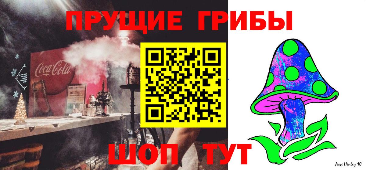 Галлюциногенные грибы прущие грибы  Галлюциногенные грибы Magic Shrooms  Вход с VPN  где найти наркотики  Куйбышев 